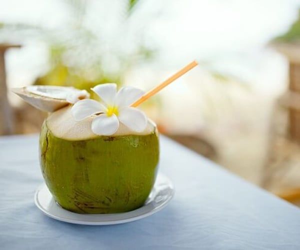  Dừa Trái - Coconut 
