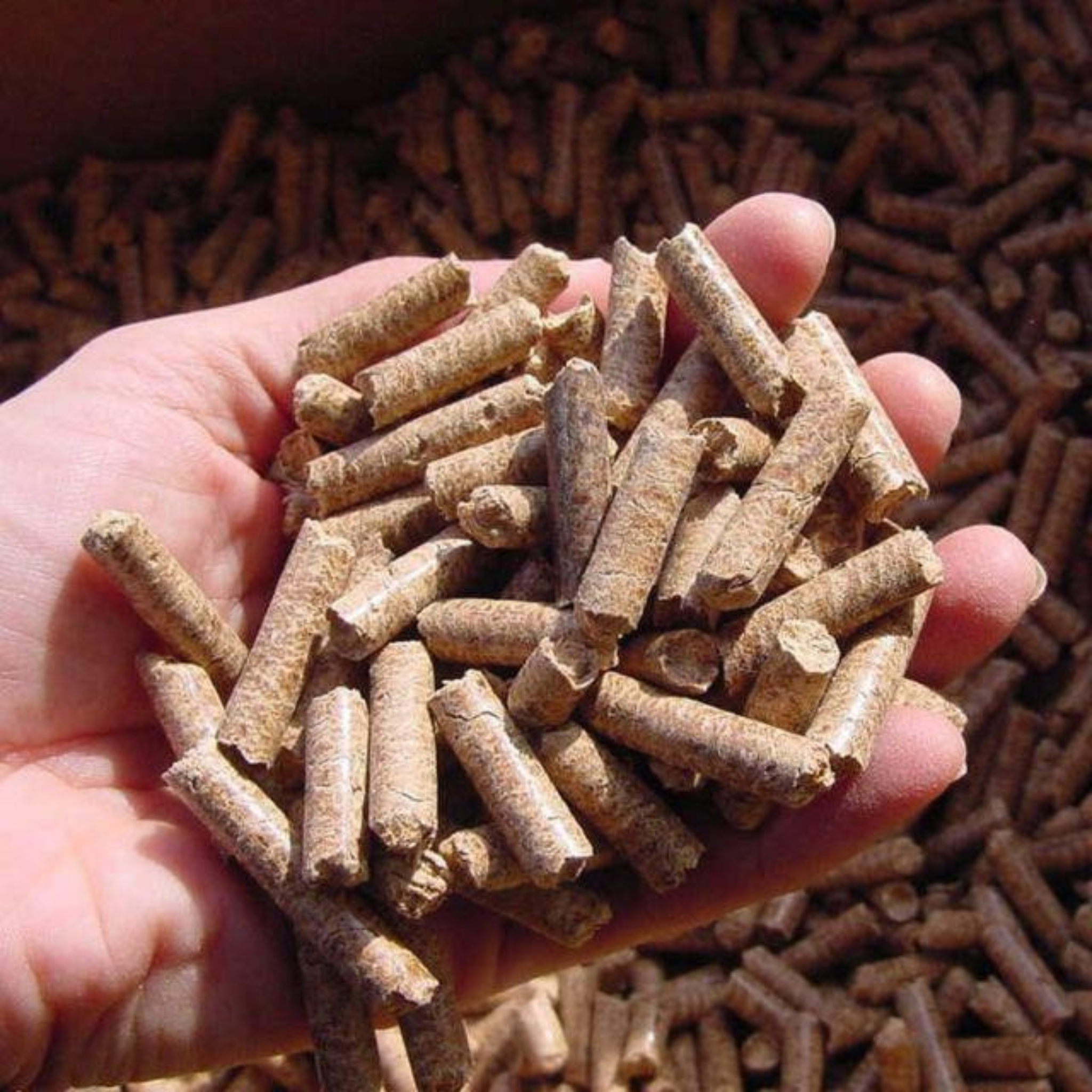  Wood Pellets 
