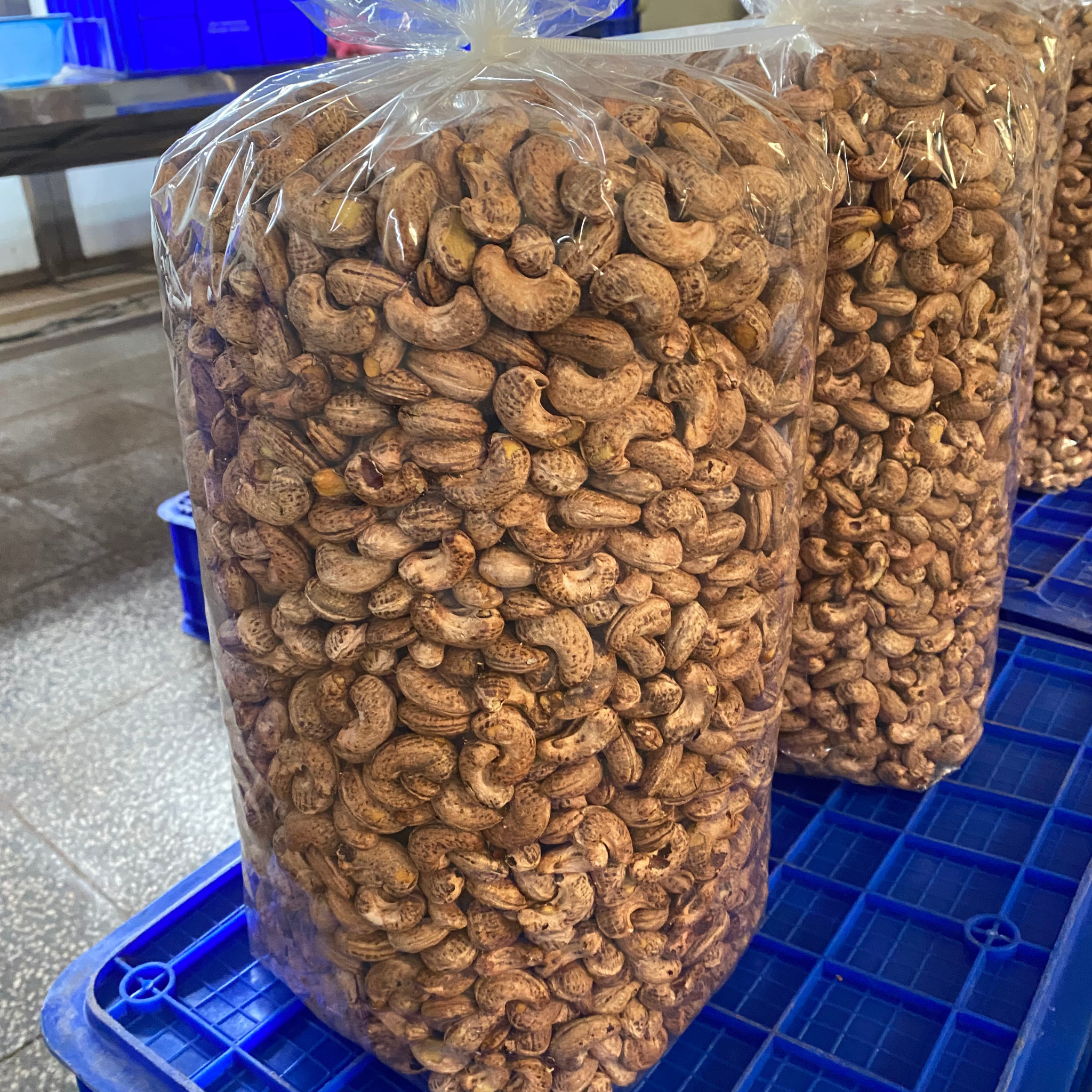  Unsalted Roasted Cashew with Shell 