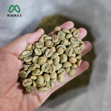  Green Coffee Beans 
