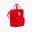 Balo Converse Small Square Backpack