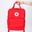 Balo Converse Small Square Backpack
