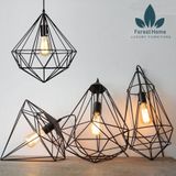  DTH046 - ĐÈN THẢ RỌ SẮT 