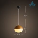  DTH010 - ĐÈN THẢ HẠT DẺ 