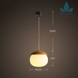  DTH010 - ĐÈN THẢ HẠT DẺ 