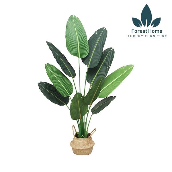  CG2 - CÂY CHUỐI DECOR 