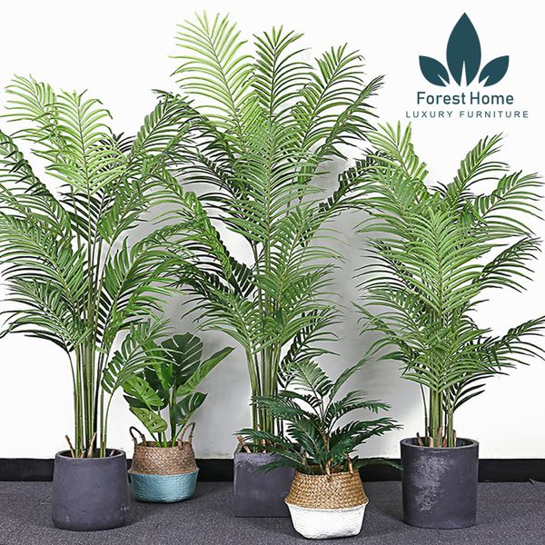  CG8 - CÂY DỪA CẢNH 