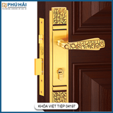  Khóa Cửa Đi Đồng Thau Việt Tiệp 04197 