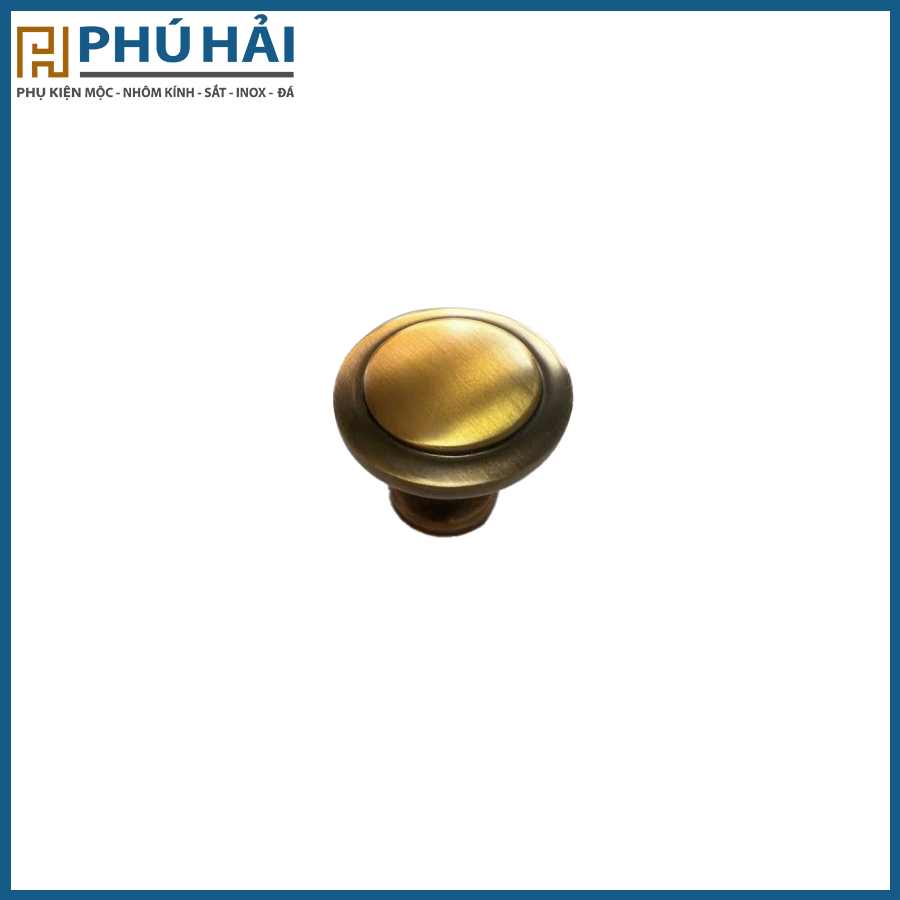  Núm Từ 2893 Giả Cổ (31mm) 