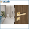  KHÓA CỬA PHÂN THỂ VICKINI 34172.101 MBG 
