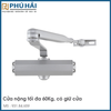 Thiết Bị Đóng Cửa Tự Động 60Kg DCL11 Hafele 931.84.659