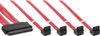 Cable SFF 8484 to 4sata 0,5m - 5E32A02-4K-X050