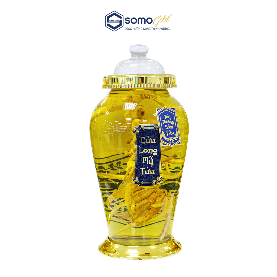  Tây Dương Sâm Tửu | Bình thủy tinh Hàn Quốc 10.5 lít 