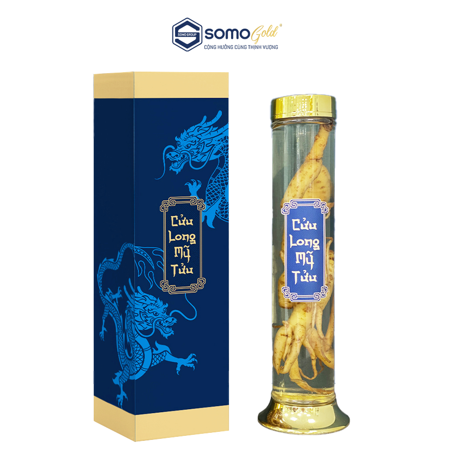  Tây Dương Sâm Tửu | Bình thủy tinh Hàn Quốc 1.5 lít 