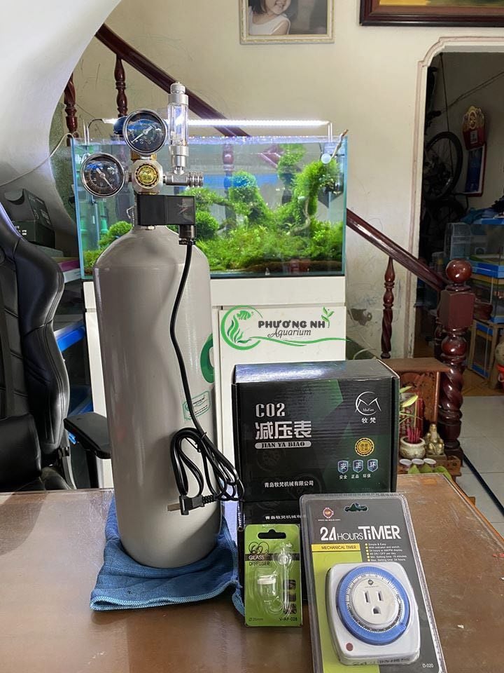 Combo bình co2