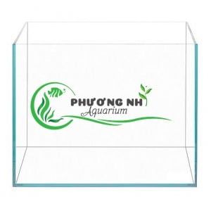 hồ siêu trong size 35