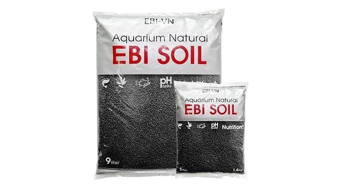 Phân nền Ebi soil