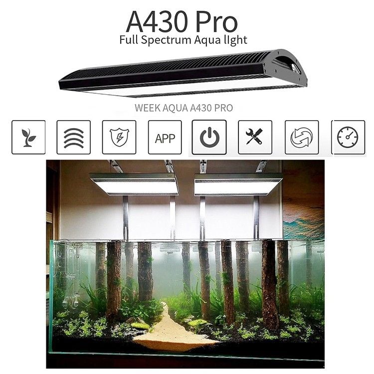 Đèn Week A430 Pro màu bạc