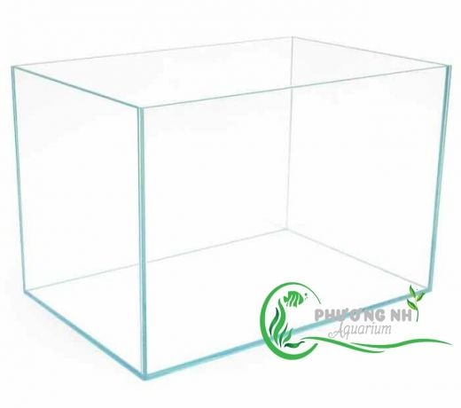 Hồ kính siêu trong size 50 cm