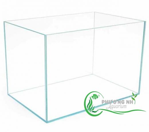 Hồ kính siêu trong size 40cm