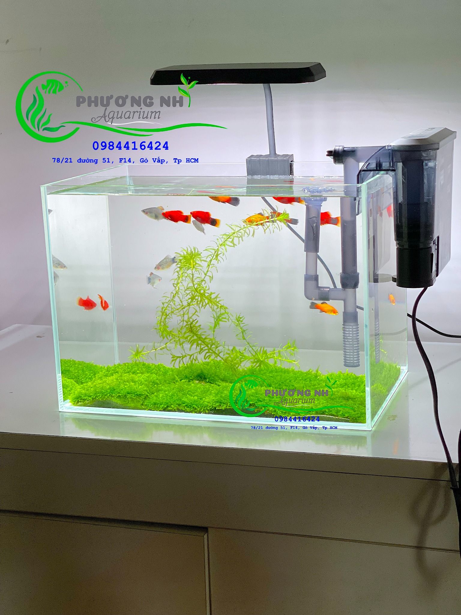 Đèn led kẹp RGB DEYAO CF-02