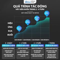 Máy Đuổi Chuột bằng Sóng Siêu Âm 2 Loa Cao Cấp MIFAN