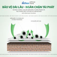 Dung Dịch Tẩy Mốc Tường SMART 1000ml