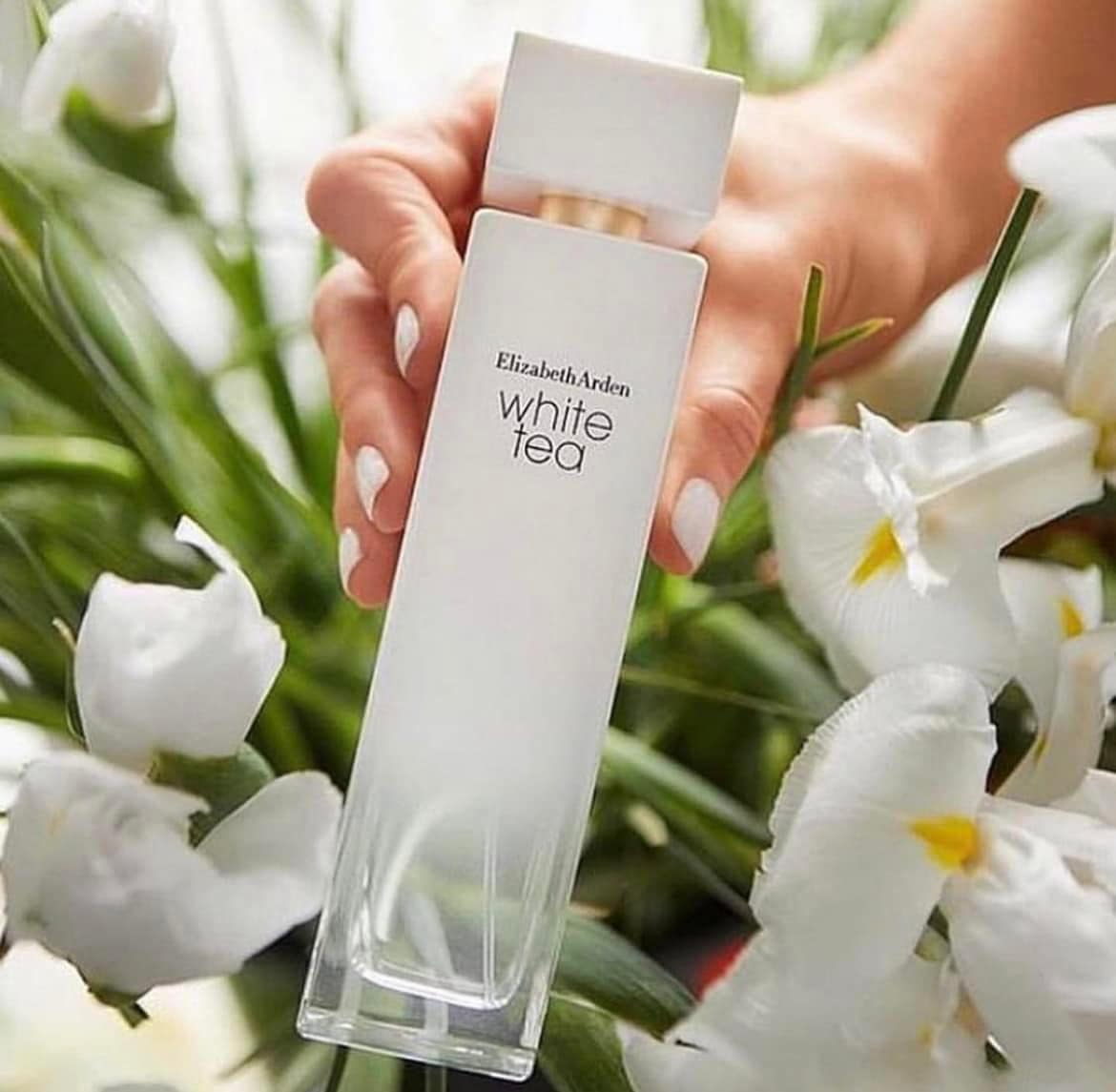 Nước Hoa Nữ Elizabeth Arden White Tea Original EDT 100mlNước Hoa Nữ Elizabeth Arden White Tea Original EDT 100ml – Phồng Phềnh Authentic