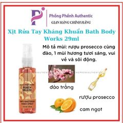 Xịt Rửa Tay Kháng Khuẩn Bath Body Works 29ml