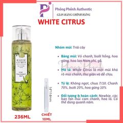 XỊT THƠM CƠ THỂ BATH & BODY WORKS BODY MIST 236ML