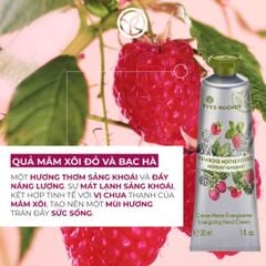 Kem dưỡng da tay Yves Rocher Hand Cream các loại fullsize 30ml - PHỒNG PHỀNH