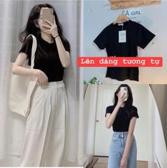 ÁO THUN NỮ H&M CỘC TAY DÁNG NGẮN