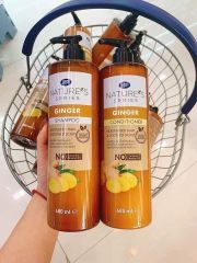 SET DẦU GỘI - XẢ GỪNG/ARGAN OIL GINGER BOOTS MATURE'S SERIES MOISTURISED HAIR & SOOTHED SCALP CHAI 480ML