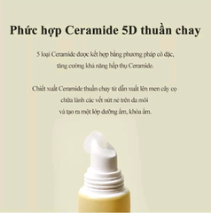 Son Dưỡng Môi Giảm Bong Tróc, Nứt Nẻ Torriden Solid In Ceramide Lip Essence
