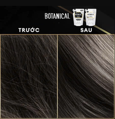 1 Túi Dầu gội/Dầu Xả Hatomugi Botanical Táo Đen Nhật Bản giảm rụng kích mọc tóc phục hồi hư tổn 400ml - PHỒNG PHỀNH