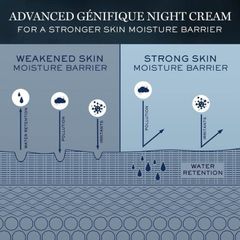Kem dưỡng ẩm ban đêm Lancome Advanced Génifique Night Cream 50ml