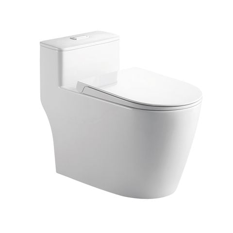 Bồn cầu BC01-03533