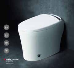 Bồn cầu BC01-03770