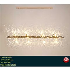 Đèn Trang Trí VRG-CN21A20