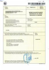 Thảm trang trí L0001