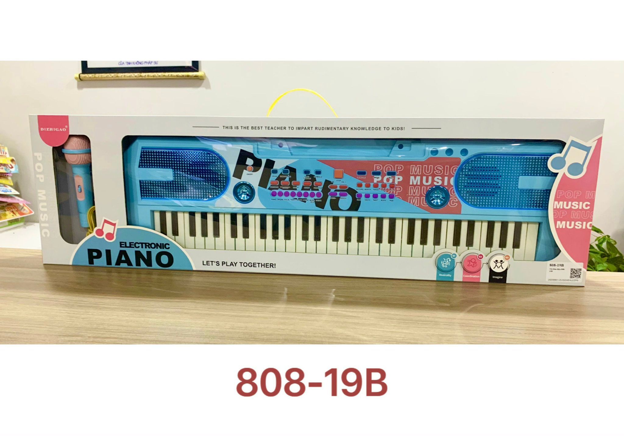  Đàn điện 808-19B 
