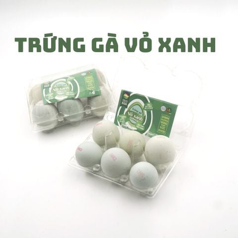  Trứng gà vỏ xanh 