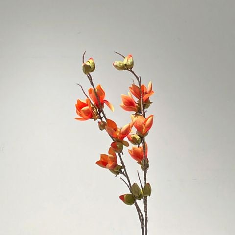 Cành Hoa Mộc Miên Màu Cam