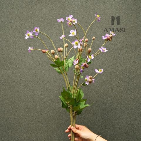Cành Hoa Cúc Bốn Màu