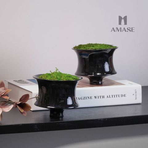 Decor lọ rêu trên bàn ADD06