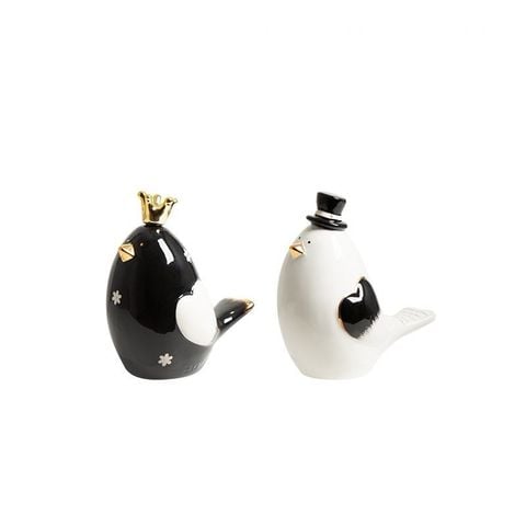 Set White & black lover bird