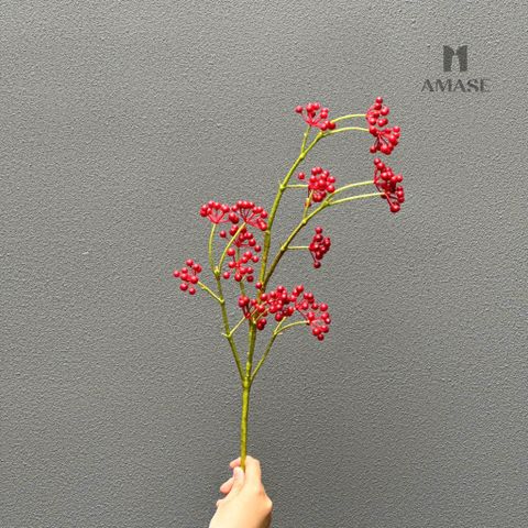 Cành quả đỏ