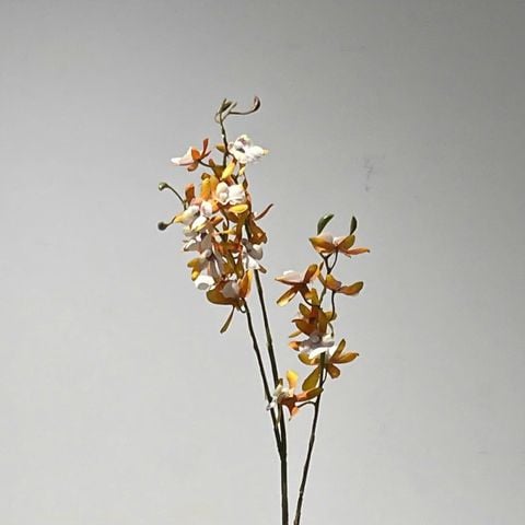 Cành Lan