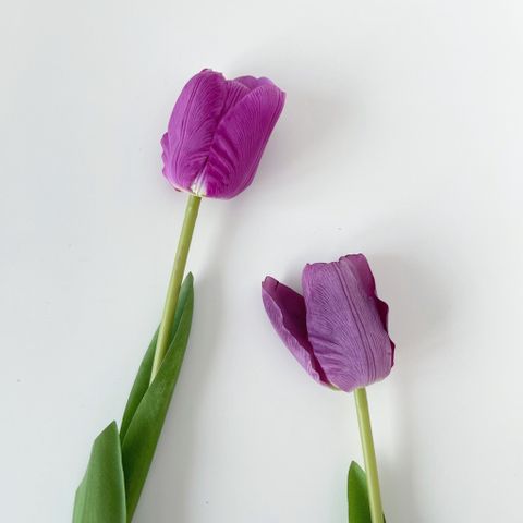 Hoa tulip lụa tím