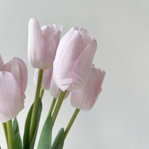 Hoa tulip lụa hồng